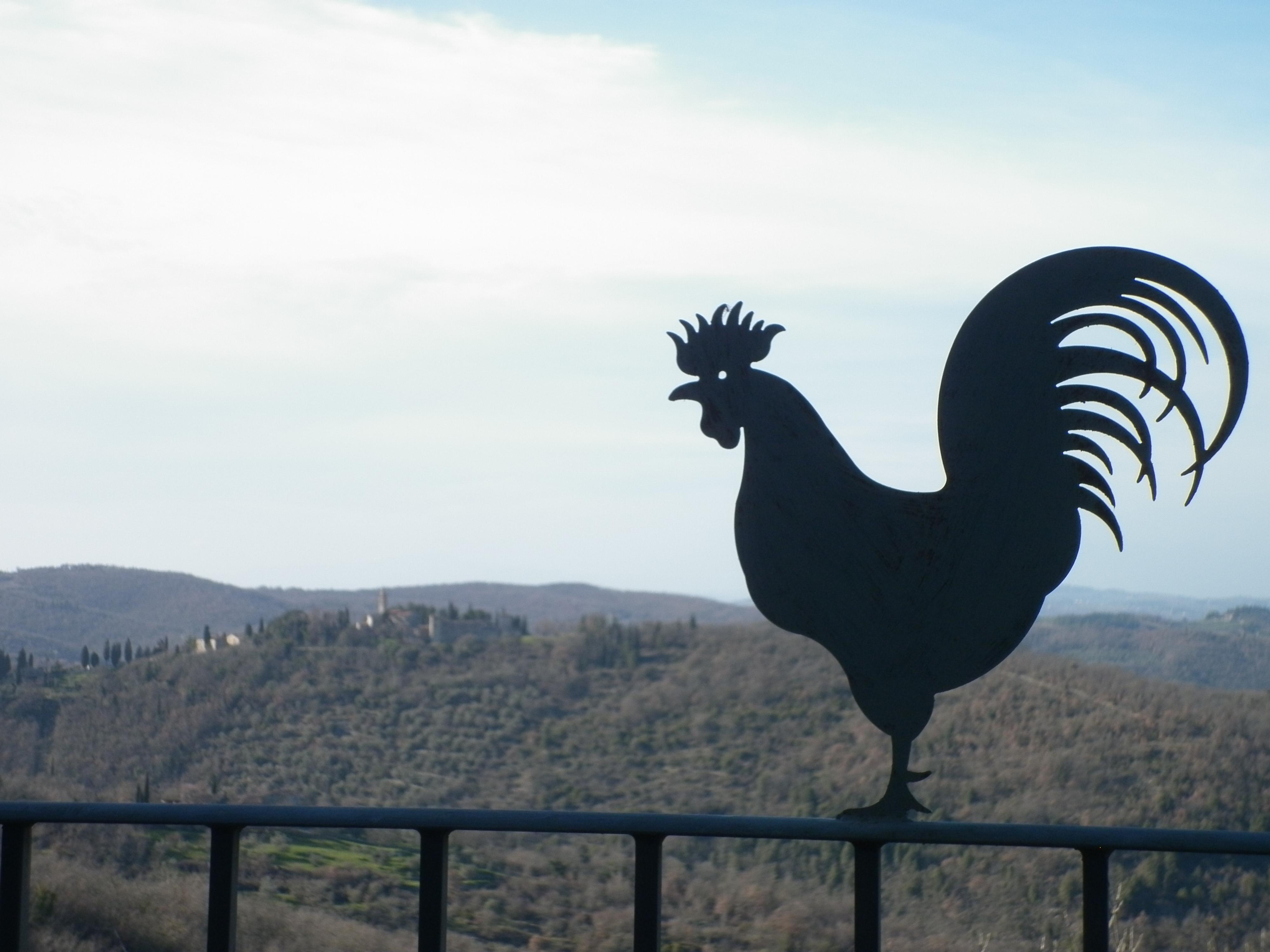 Casa di campagna Sant’uberto Country